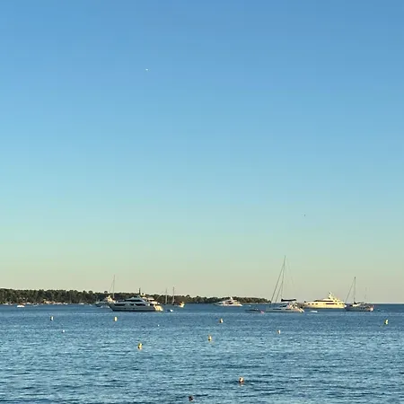 Parfait Pour Vous ! *